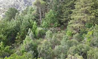 Imagem 2: TERRENO RESIDENCIAL em CAMPOS DO JORDÃO - SP, Região do Vale Encantado