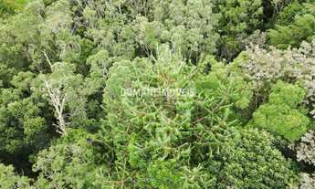 Imagem 5: TERRENO RESIDENCIAL em CAMPOS DO JORDÃO - SP, Região do Alto do Capivari
