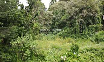 Imagem 7: TERRENO RESIDENCIAL em CAMPOS DO JORDÃO - SP, Região do Alto do Capivari