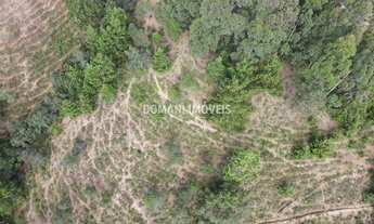 Imagem 2: TERRENO RESIDENCIAL em CAMPOS DO JORDÃO - SP, Região do Vale Encantado