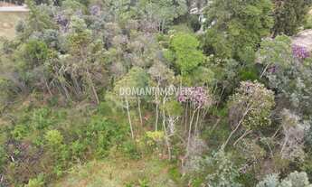 Imagem 2: 1550M² de Área Total