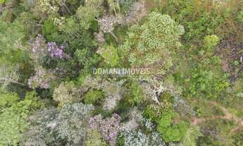 Imagem 3: 1550M² de Área Total