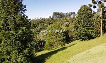 Imagem 4: TERRENO RESIDENCIAL em CAMPOS DO JORDÃO - SP, Região do Alto do Capivari