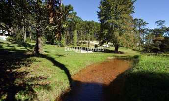 Imagem: 1450M² de Área Total