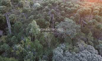 Imagem: 1780M² de Área Total