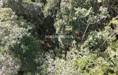 Imagem 3: TERRENO RESIDENCIAL em CAMPOS DO JORDÃO - SP, Região do Parque da Água Santa