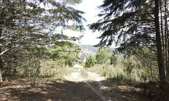 Imagem 3: TERRENO RESIDENCIAL em CAMPOS DO JORDÃO - SP, Região do Vale Encantado
