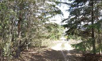 Imagem 7: TERRENO RESIDENCIAL em CAMPOS DO JORDÃO - SP, Região do Vale Encantado