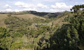 Imagem 4: TERRENO RESIDENCIAL em CAMPOS DO JORDÃO - SP, Região do Alto do Capivari