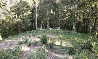 Imagem: 1250M² de Área Total