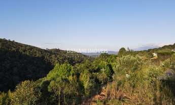 Imagem: 1380M² de Área Total