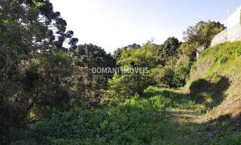 Imagem: TERRENO RESIDENCIAL em CAMPOS DO JORDÃO