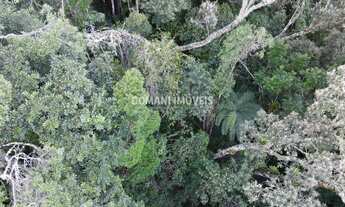 Imagem 5: TERRENO RESIDENCIAL em CAMPOS DO JORDÃO - SP, Região do Vale Encantado