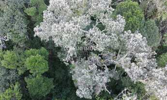 Imagem 6: TERRENO RESIDENCIAL em CAMPOS DO JORDÃO - SP, Região do Vale Encantado