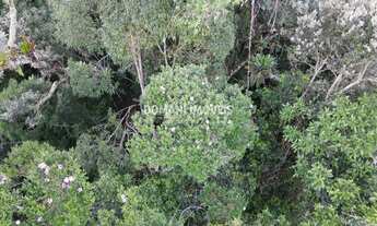 Imagem 4: TERRENO RESIDENCIAL em CAMPOS DO JORDÃO - SP, Região do Vale Encantado