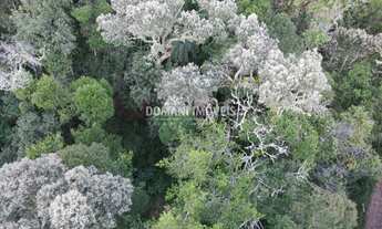 Imagem 3: TERRENO RESIDENCIAL em CAMPOS DO JORDÃO - SP, Região do Vale Encantado