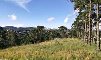 Imagem: 8900M² de Área Total