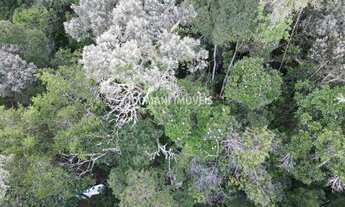Imagem 7: TERRENO RESIDENCIAL em CAMPOS DO JORDÃO - SP, Região do Vale Encantado
