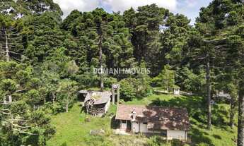 Imagem: AREA COMERCIAL em CAMPOS DO JORDÃO - SP