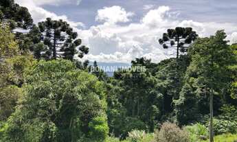 Imagem 5: AREA RESIDENCIAL em CAMPOS DO JORDÃO - SP, Região do Toriba
