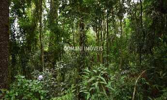 Imagem 7: TERRENO RESIDENCIAL em CAMPOS DO JORDÃO - SP, Região do Vale Encantado
