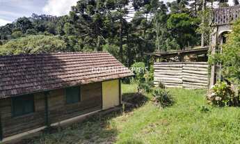 Imagem 6: AREA RESIDENCIAL em CAMPOS DO JORDÃO - SP, Região do Toriba