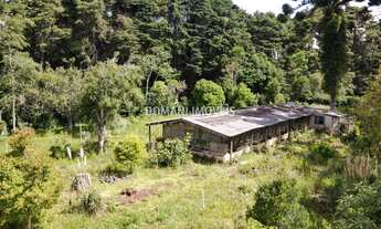 Imagem 7: AREA RESIDENCIAL em CAMPOS DO JORDÃO - SP, Região do Toriba