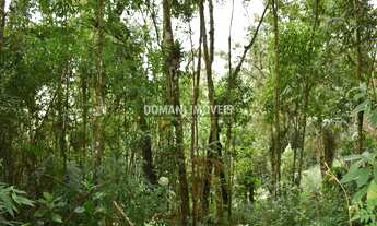 Imagem 6: TERRENO RESIDENCIAL em CAMPOS DO JORDÃO - SP, Região do Vale Encantado