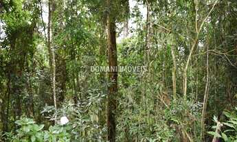 Imagem 5: TERRENO RESIDENCIAL em CAMPOS DO JORDÃO - SP, Região do Vale Encantado