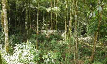 Imagem 2: TERRENO RESIDENCIAL em CAMPOS DO JORDÃO - SP, Região de Capivari