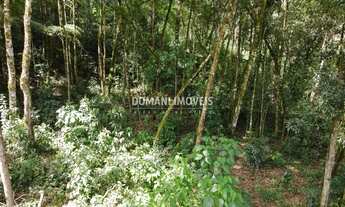 Imagem 5: TERRENO RESIDENCIAL em CAMPOS DO JORDÃO - SP, Região de Capivari
