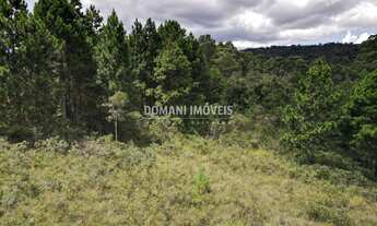 Imagem 7: TERRENO RESIDENCIAL em CAMPOS DO JORDÃO - SP, Região do Alto da Boa Vista
