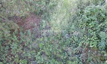 Imagem 6: TERRENO RESIDENCIAL em CAMPOS DO JORDÃO - SP, Região da Abernéssia