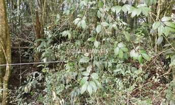 Imagem 3: TERRENO RESIDENCIAL em CAMPOS DO JORDÃO - SP, Região de Capivari