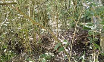 Imagem: TERRENO RESIDENCIAL em CAMPOS DO JORDÃO