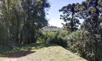 Imagem 6: TERRENO RESIDENCIAL em CAMPOS DO JORDÃO - SP, Região de Capivari