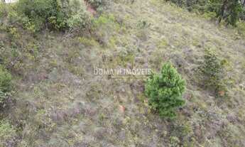 Imagem 4: TERRENO RESIDENCIAL em CAMPOS DO JORDÃO - SP, Região de Descansópolis