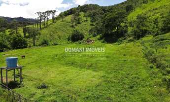 Imagem 4: SITIO RESIDENCIAL em CAMPOS DO JORDÃO - SP, Região do Lageado