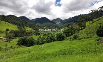 Imagem 2: SITIO RESIDENCIAL em CAMPOS DO JORDÃO - SP, Região do Lageado