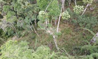 Imagem: TERRENO RESIDENCIAL em CAMPOS DO JORDÃO