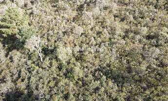 Imagem 3: TERRENO RESIDENCIAL em CAMPOS DO JORDÃO - SP, Região do Imbiri