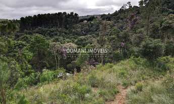 Imagem 3: TERRENO RESIDENCIAL em CAMPOS DO JORDÃO - SP, Região do Toriba