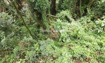 Imagem: 1950M² de Área Total