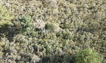 Imagem 6: TERRENO RESIDENCIAL em CAMPOS DO JORDÃO - SP, Região do Imbiri