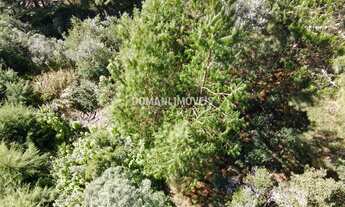 Imagem 2: TERRENO RESIDENCIAL em CAMPOS DO JORDÃO - SP, Região do Alto do Capivari