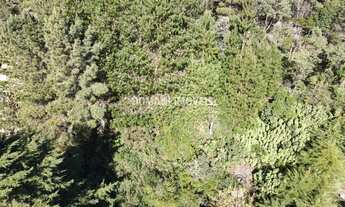 Imagem 6: TERRENO RESIDENCIAL em CAMPOS DO JORDÃO - SP, Região do Alto do Capivari