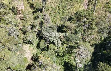 Imagem 3: TERRENO RESIDENCIAL em CAMPOS DO JORDÃO - SP, Região do Atalaia