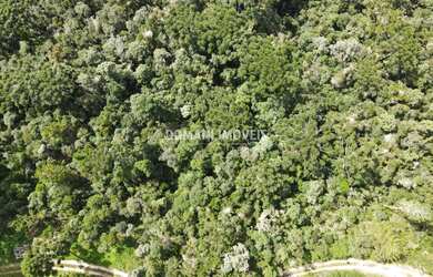 Imagem 5: TERRENO RESIDENCIAL em CAMPOS DO JORDÃO - SP, Região do Atalaia