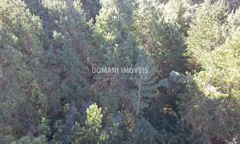 Imagem 7: TERRENO RESIDENCIAL em CAMPOS DO JORDÃO - SP, Região do Alto da Boa Vista