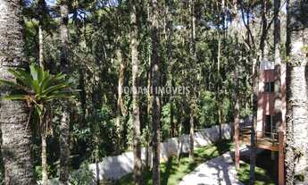 Imagem 6: 3 dormitórios, 1 suítes, 1 banheiros